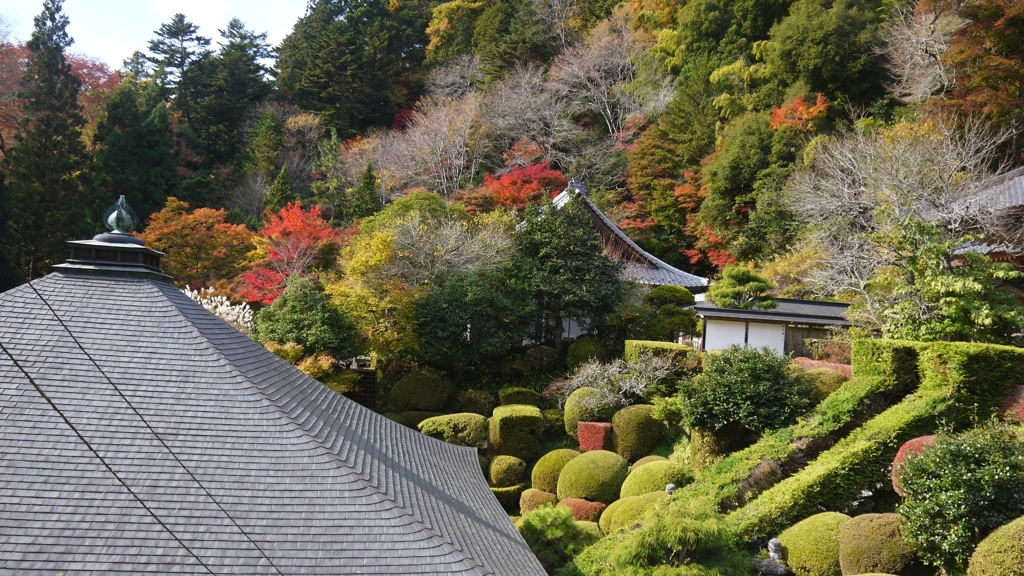 禅寺の庭
