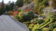 禅寺の庭