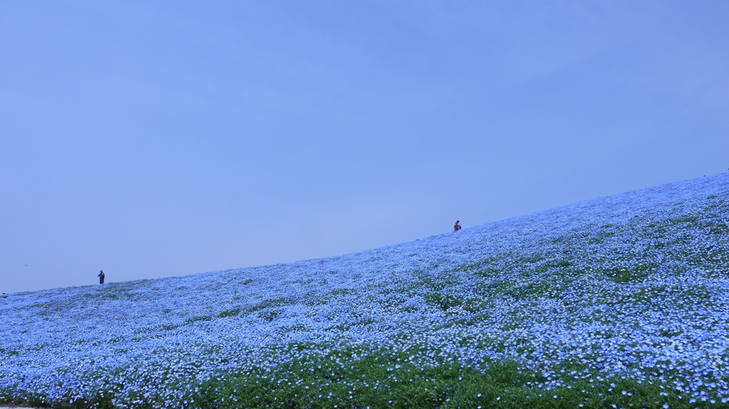 地平線