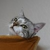 ムクですけど、なにか！