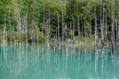 青い池
