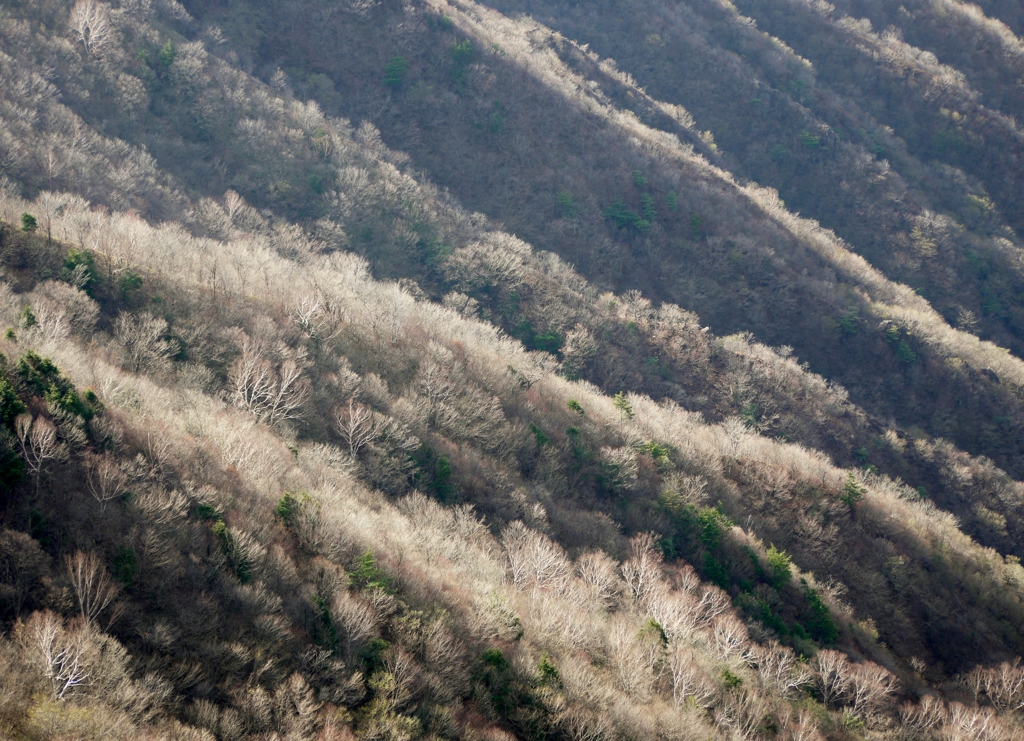 遅い秋山