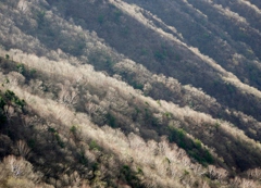 遅い秋山