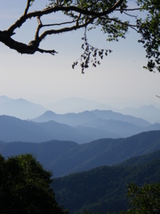 厳かに　