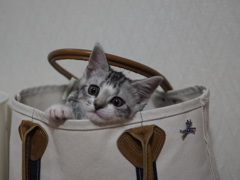 ぼくはここにいるよ！