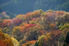 里山の彩