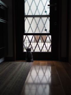 哀愁