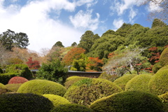 禅寺の屋根