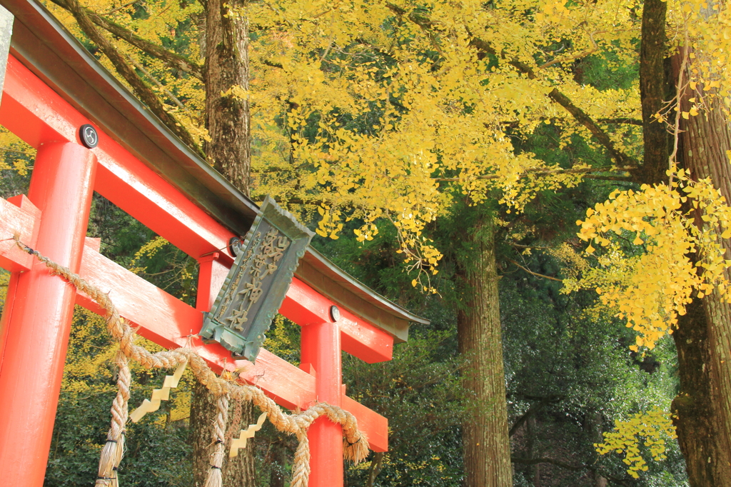 岩戸落葉神社