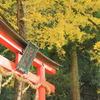 岩戸落葉神社