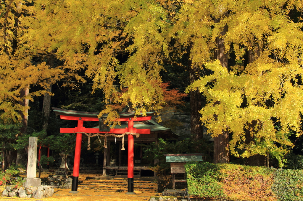 岩戸落葉神社