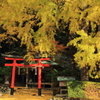岩戸落葉神社