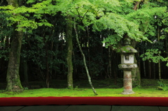 高桐院