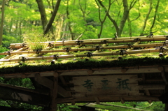 祇王寺