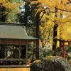 岩戸落葉神社