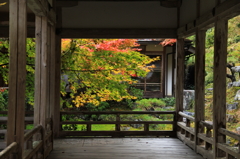 常照皇寺