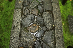 高桐院