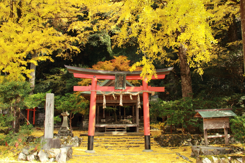 岩戸落葉神社