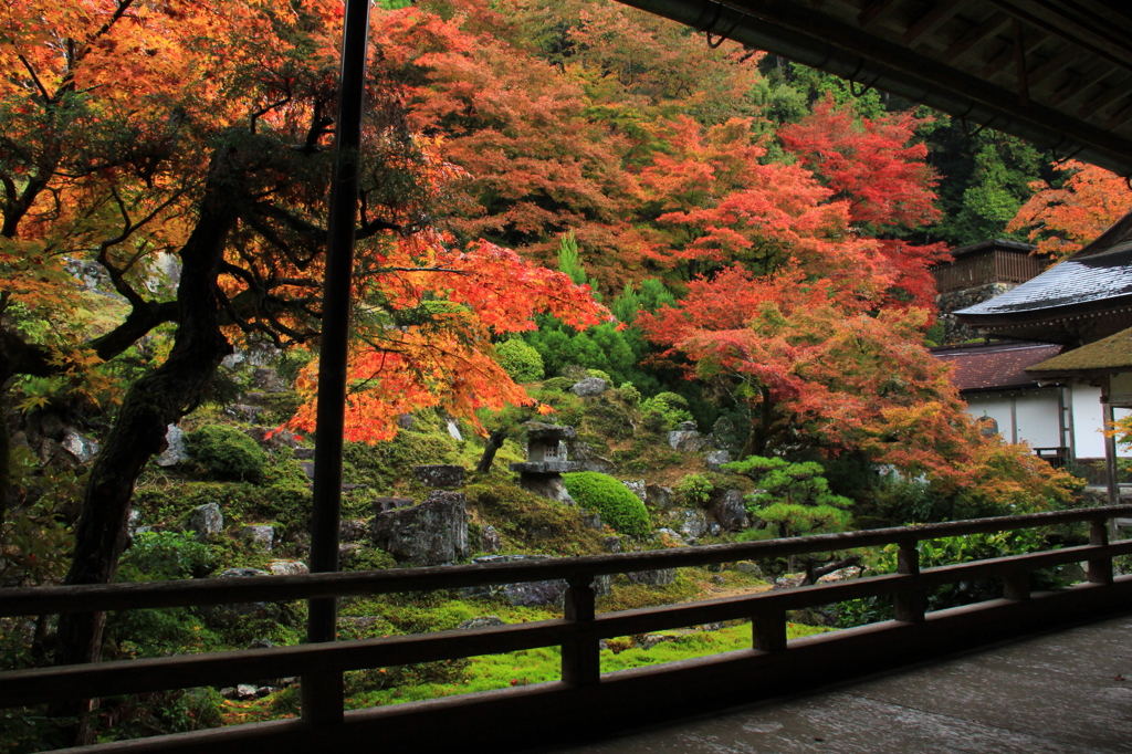 常照皇寺