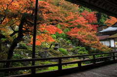 常照皇寺