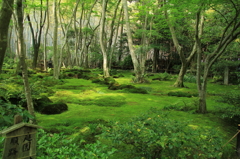 祇王寺