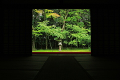 高桐院