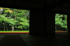 高桐院