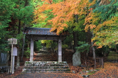 常照皇寺