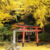 岩戸落葉神社