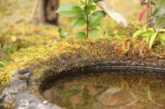 光悦寺