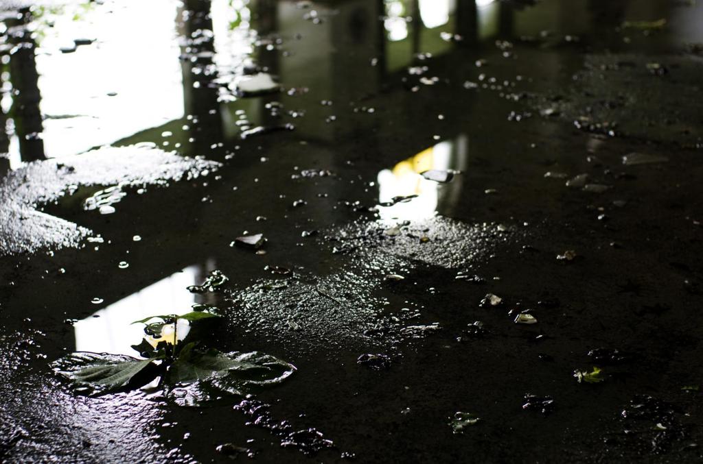水鏡
