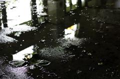 水鏡