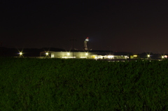 万博公園