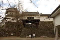 城