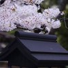 飛鳥山１９ 揺れる挨拶