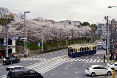 飛鳥山１２ 平和な春に