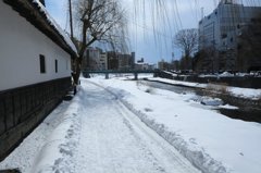 盛岡の初春