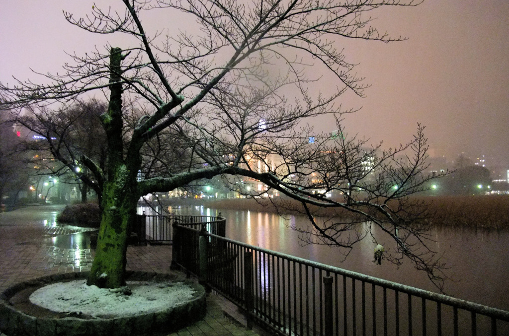 雪に煙るセーヌの畔