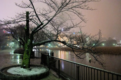 雪に煙るセーヌの畔