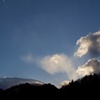 遅咲きの春009