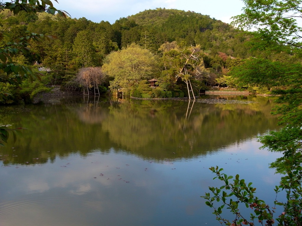 龍安寺-14