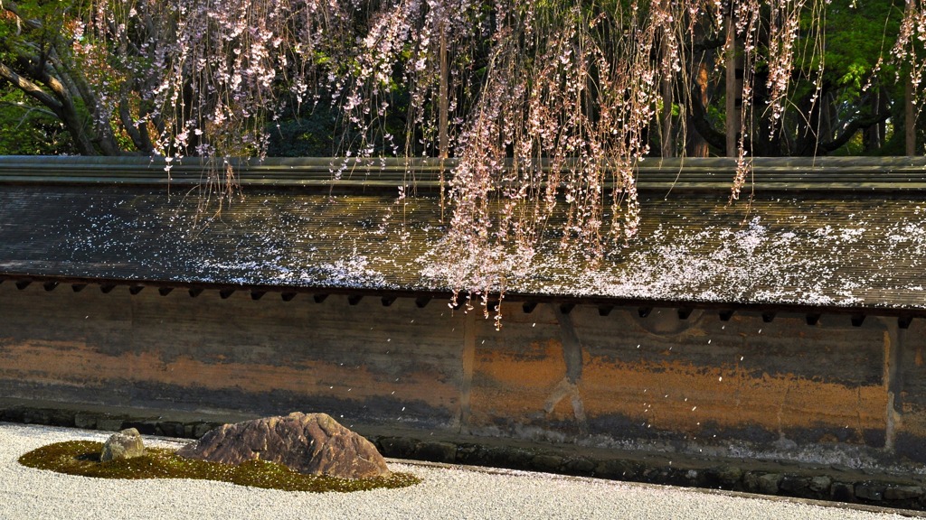龍安寺-6