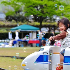 越前市・源氏物語公園-1