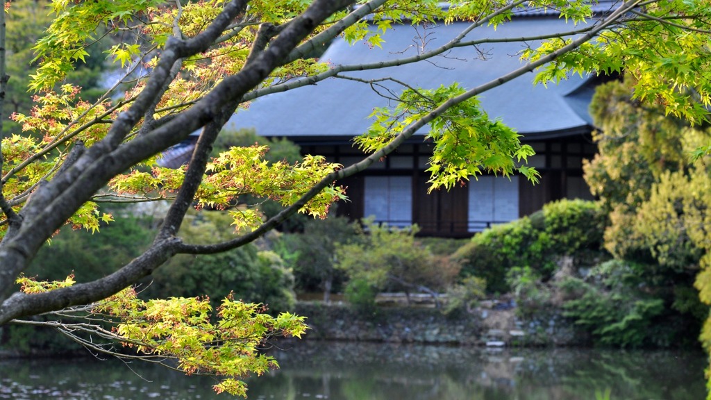 龍安寺-18