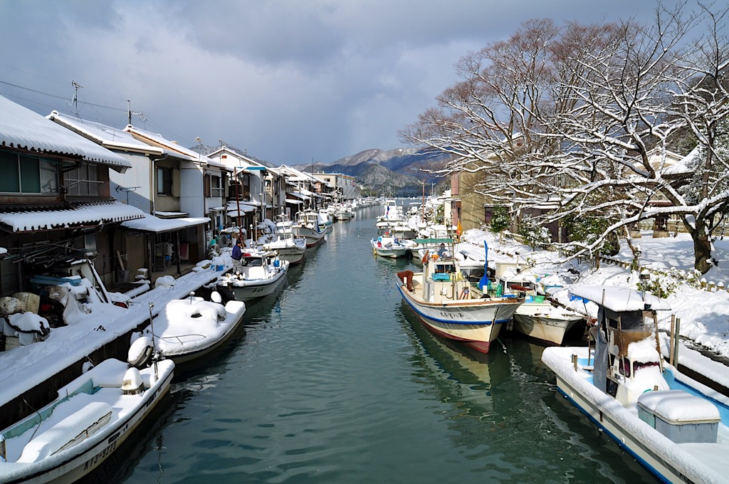 雪のあい間に