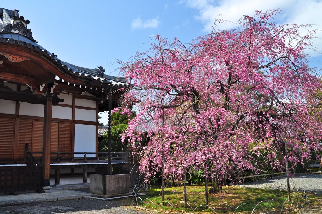 上品蓮台寺-1