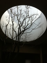 京都現代美術館