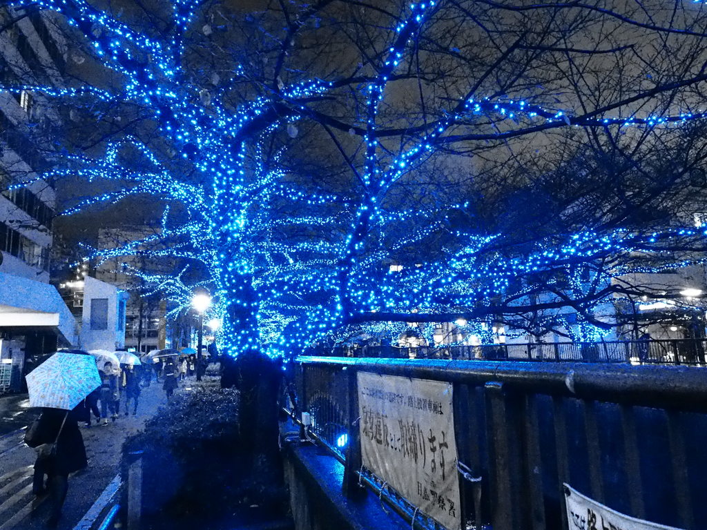 目黒川１