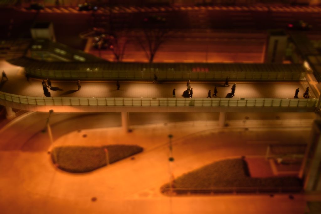 CSC_0193_01