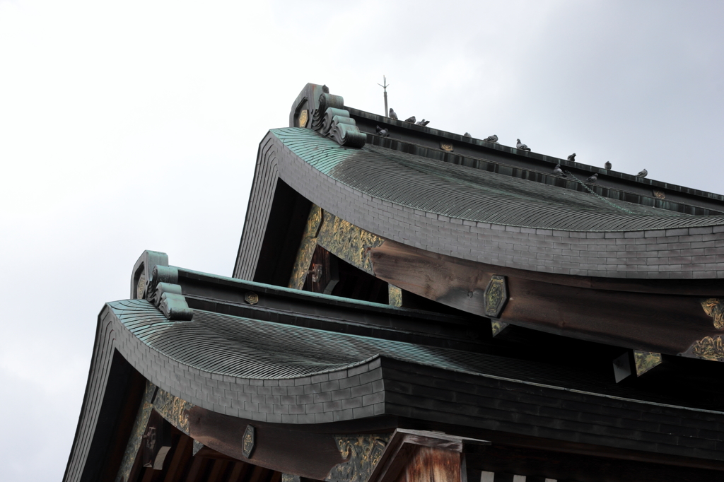 甍　出雲大社仮本殿